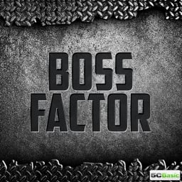Boss Factor