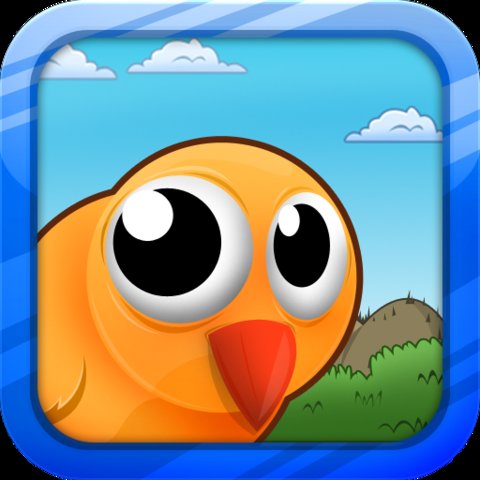 Big Eyed Bird Adventure